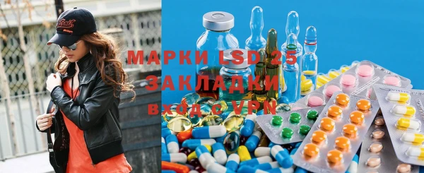 шишки Аркадак