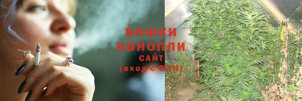 шишки Аркадак