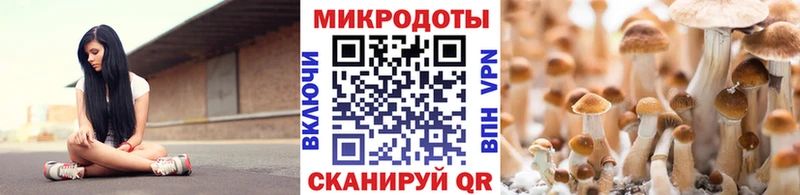 Галлюциногенные грибы мухоморы  Белая Холуница 